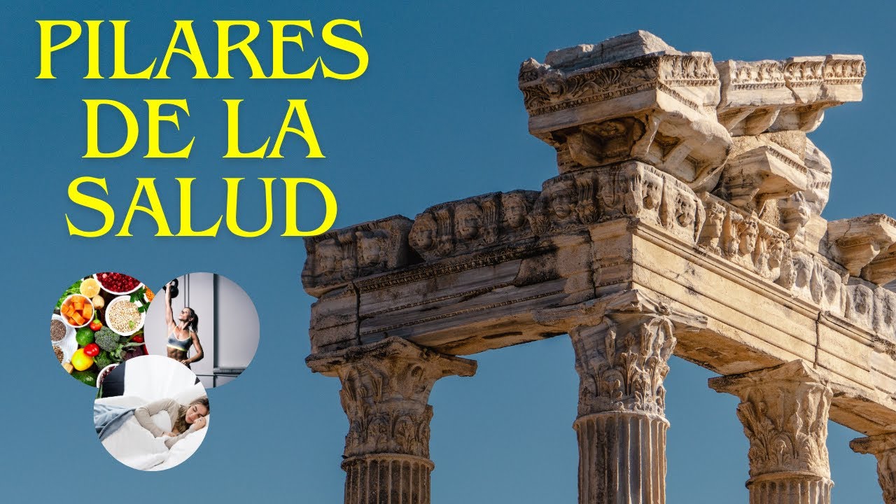 Los 7 + 1 pilares de la salud