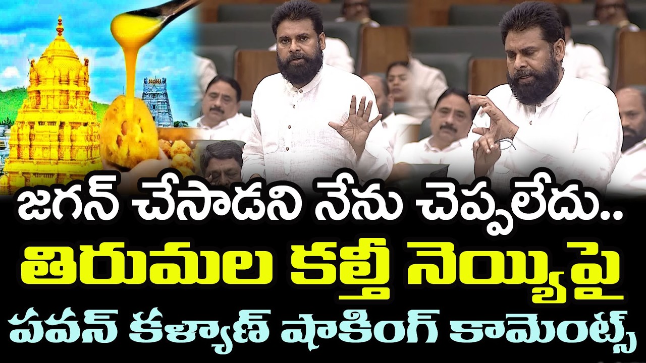 జగన్ చేసాడని నేను చెప్పలేదు Pawan Kalyan Shocking Comments Tirumala Laddu Ghee Adulteration : PDTV