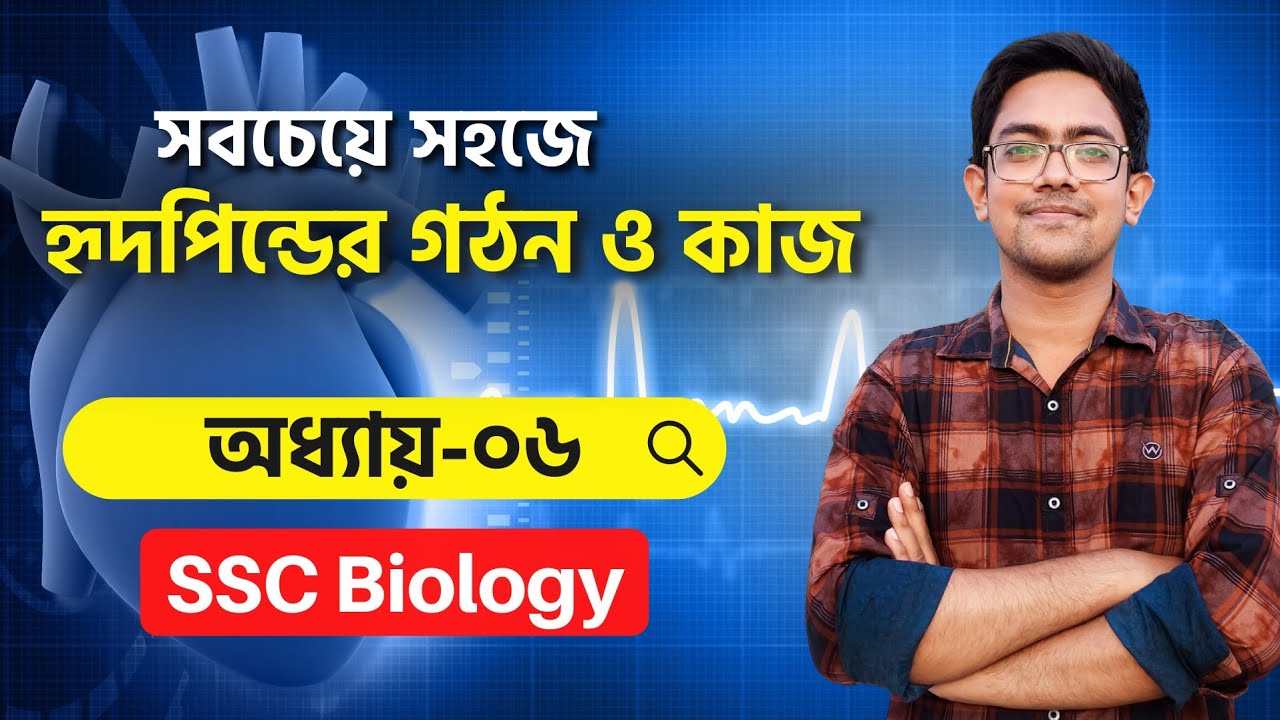 🔰 হৃদপিন্ডের গঠন ও কাজ | হৃদপিন্ডের মধ্যে রক্ত সঞ্চালন পদ্ধতি | SSC Biology Chapter 6| Biology Adda