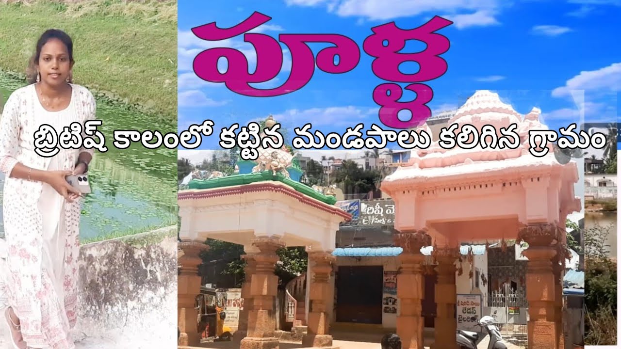 Pulla village   P L A Rice  ని కనుగొన్న గ్రామం #trending #village #traveling #kalyanicreations