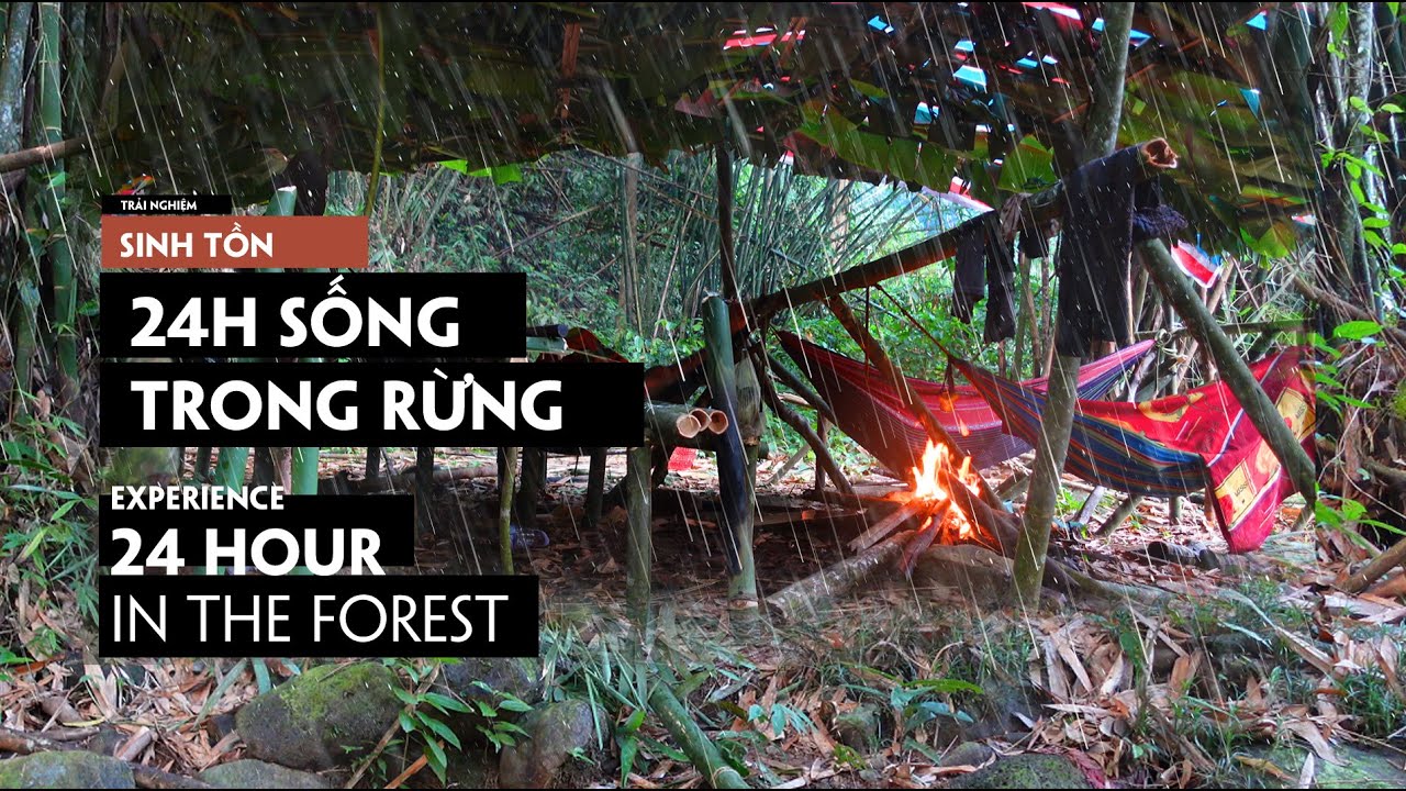 24H Sinh tồn, Tìm Thức Ăn GIỮA RỪNG | Searching for Food in a Forest  24-Hour Adventure