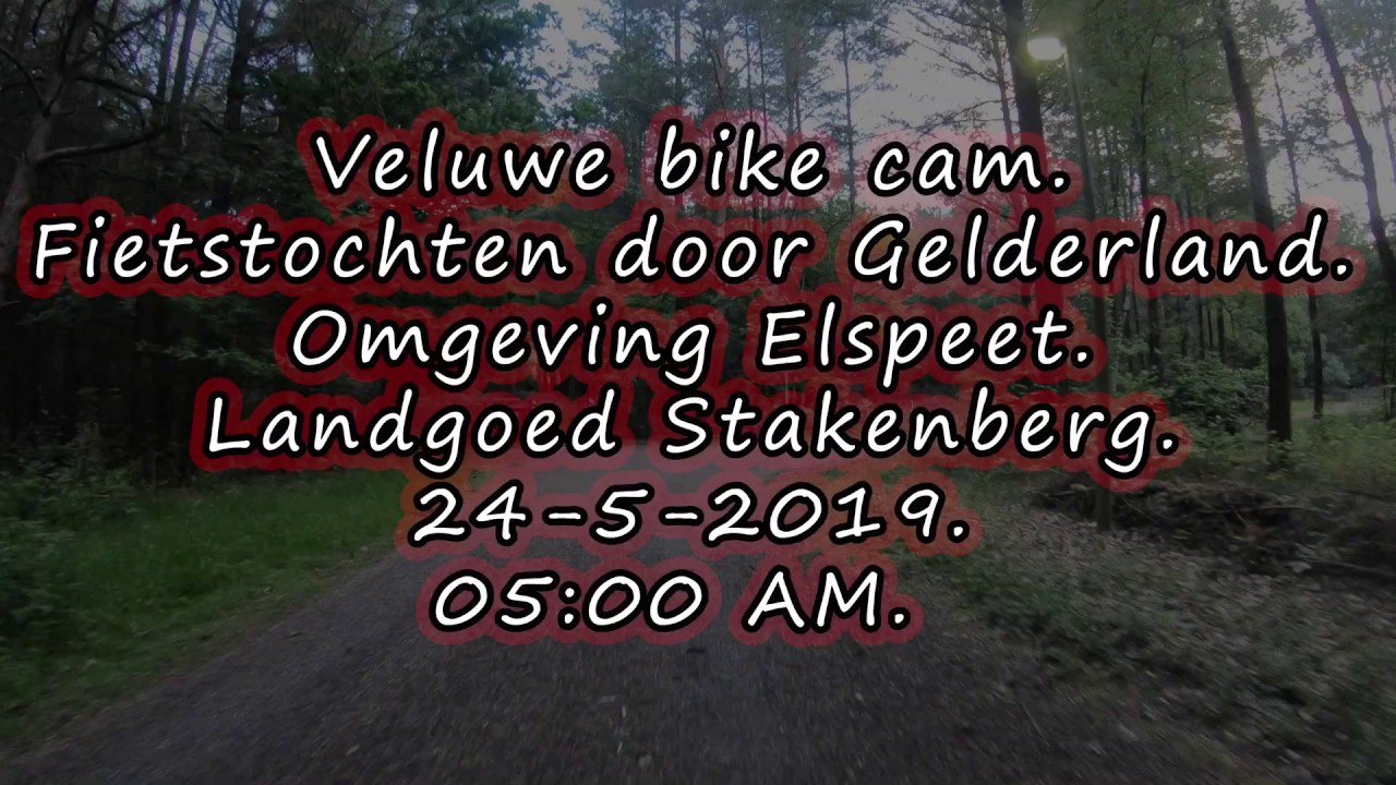 4K. Veluwe bike cam.Fietstochten door Gelderland. Elspeet.Landgoed Stakenberg.