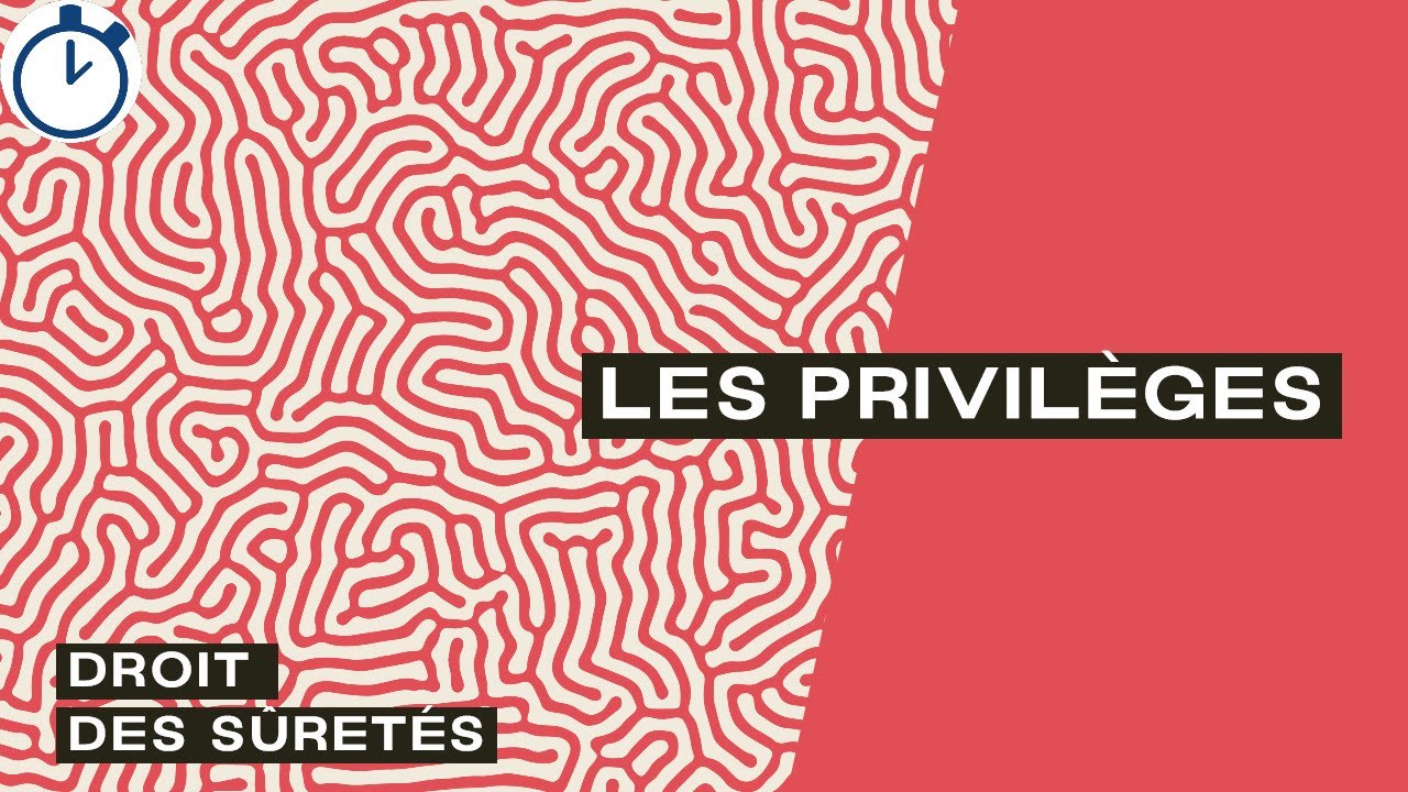 Les Privilèges (généraux, mobiliers et immobiliers) : [Droit des sûretés]