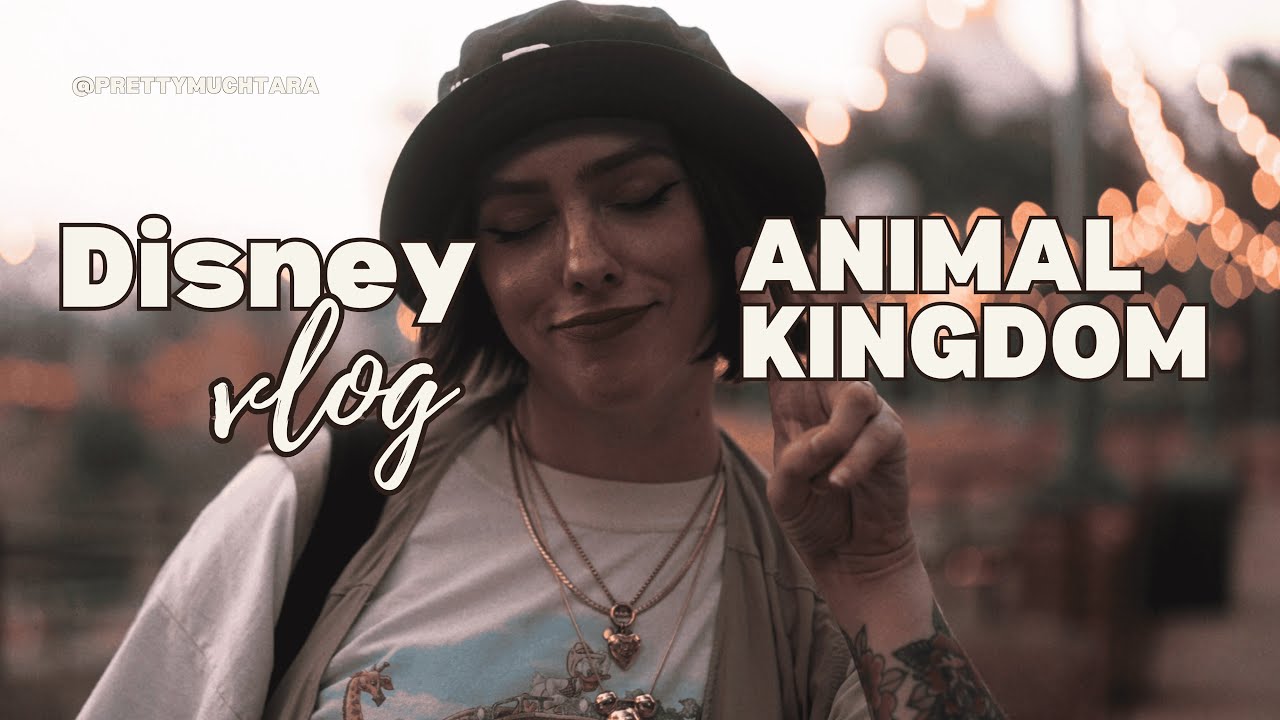 Spending our 10th Anniversary at Animal Kingdom | DISNEY WORLD VLOG