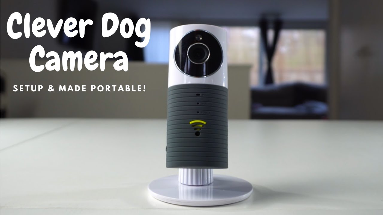 Камера Clever Dog Camera (беспроводная сетевая) — теперь портативная! ПОЛНАЯ НАСТРОЙКА