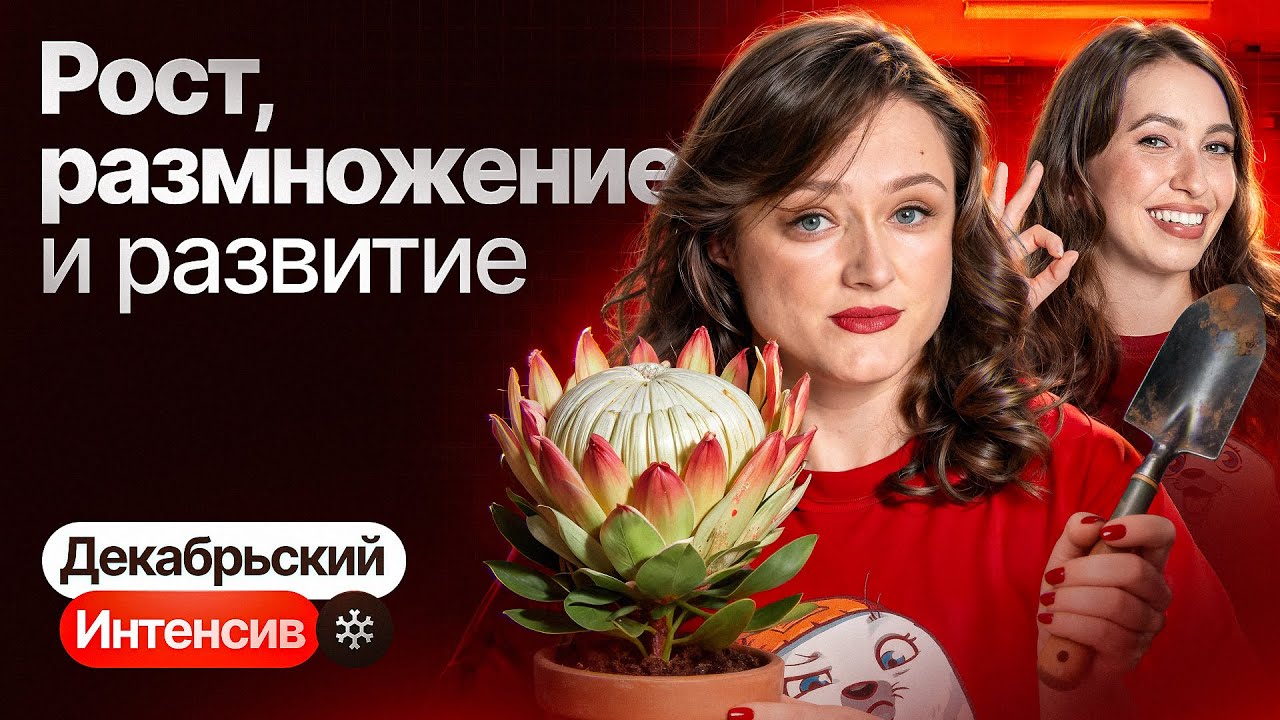 3. Рост, размножение и развитие | Интенсив по биологии | ЕГЭ-2026 по биологии