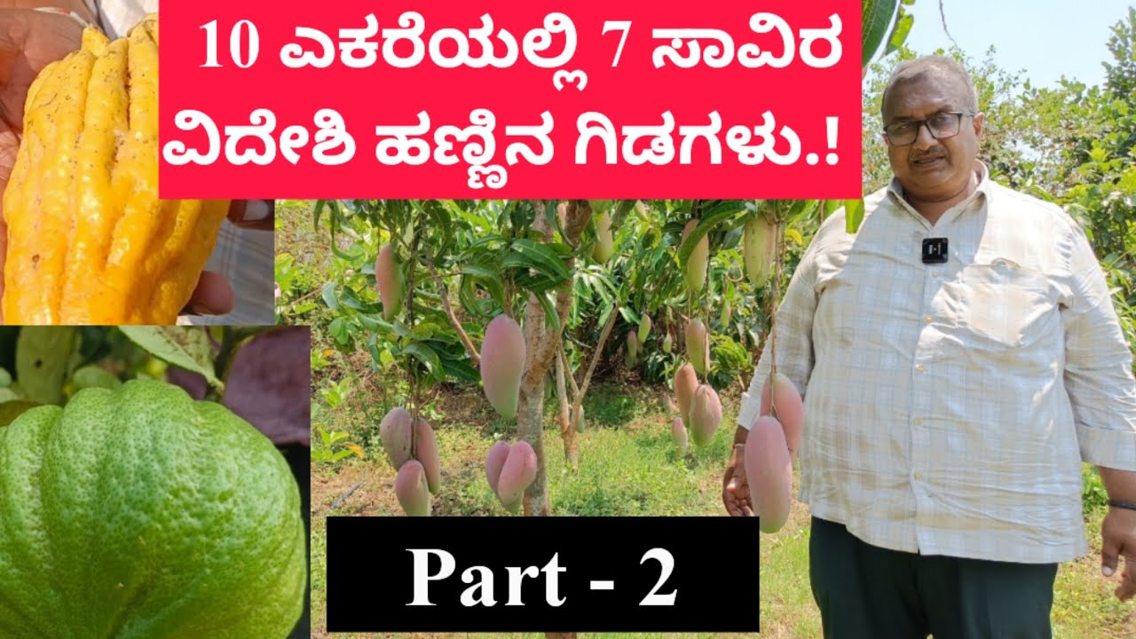 10 ಎಕರೆಯಲ್ಲಿ 7 ಸಾವಿರ ವಿದೇಶಿ ಹಣ್ಣಿನ ಗಿಡಗಳು.!ಹಣ್ಣಿನ ಪ್ರಪಂಚಕ್ಕೆ ಸ್ವಾಗತ.!