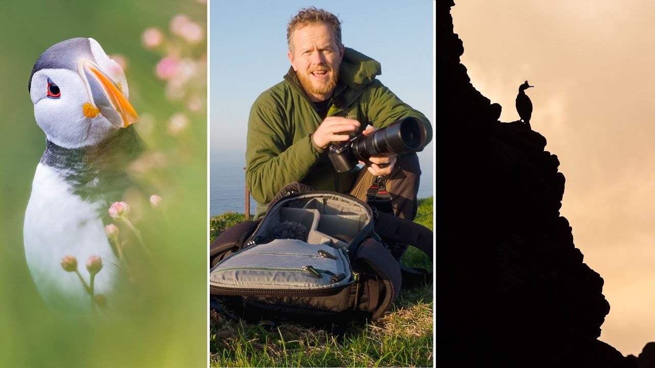 Photographing Seabirds on the Coast of Scotland | Puffins & Gannets | OM System OM-1