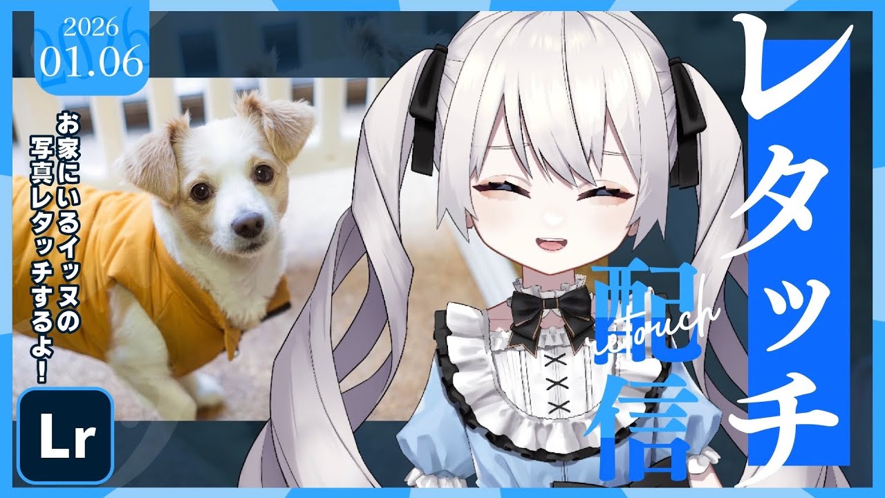 #Lightroom 今週の愛犬写真レタッチ配信！【#ねむるシャッター / #永遠ねむる】