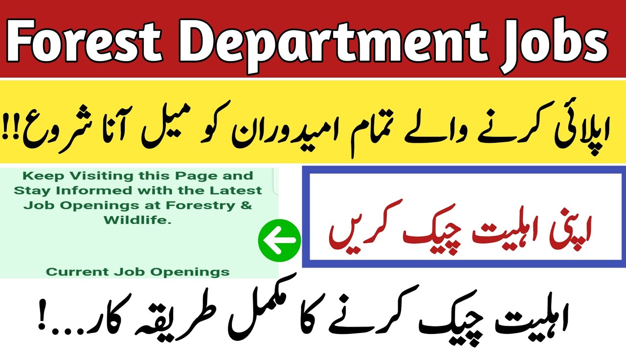 Forest Department Jobs Application Status | How To Check Forest Department Application Status Online