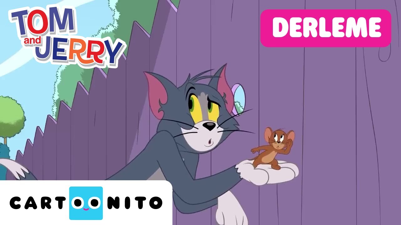 TOM VE JERRY ŞOV | Büyük Eğlence Derlemesi | @CartoonitoTurkiye