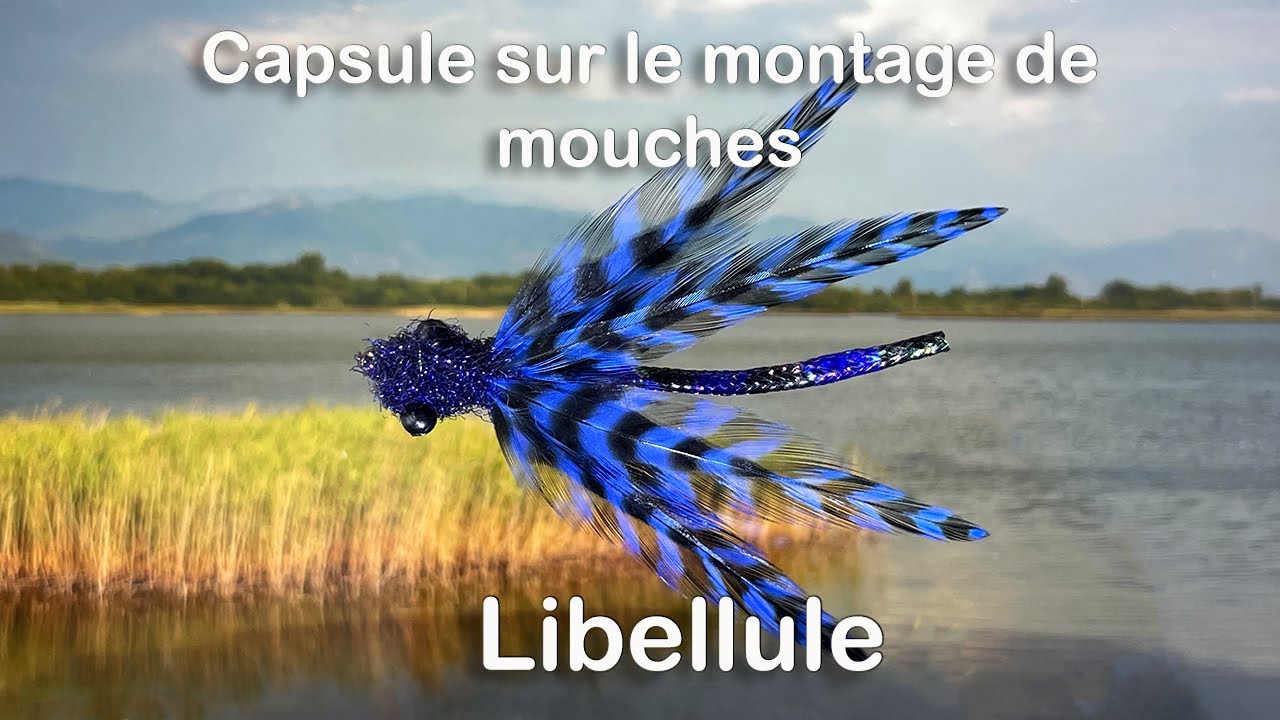 87- Libellule HD