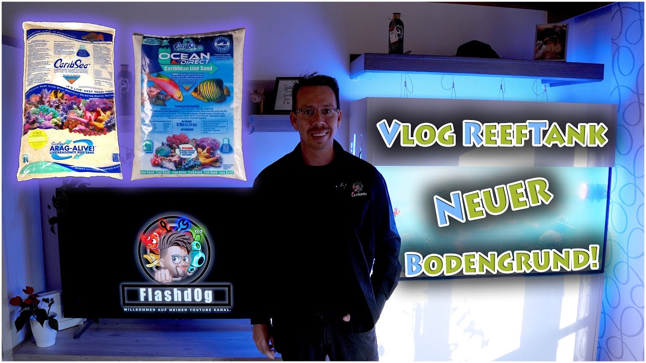 VLOG Reeftank , Meerwasser Aquarium Update! (Neuer Bodengrund!!)