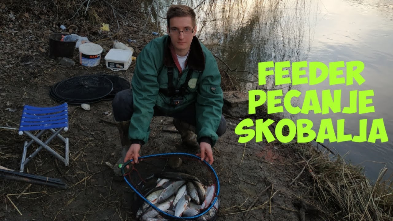 FEEDER PECANJE SKOBALJA  POČETAK 2022 GODINE