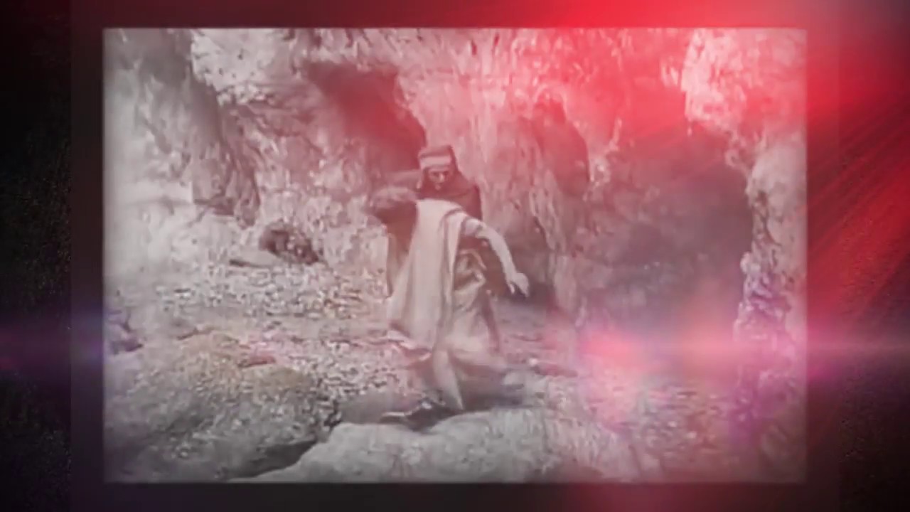 LA DIVINA COMEDIA  (PURGATORIO, CIELO) - DANTE ALIGHIERI