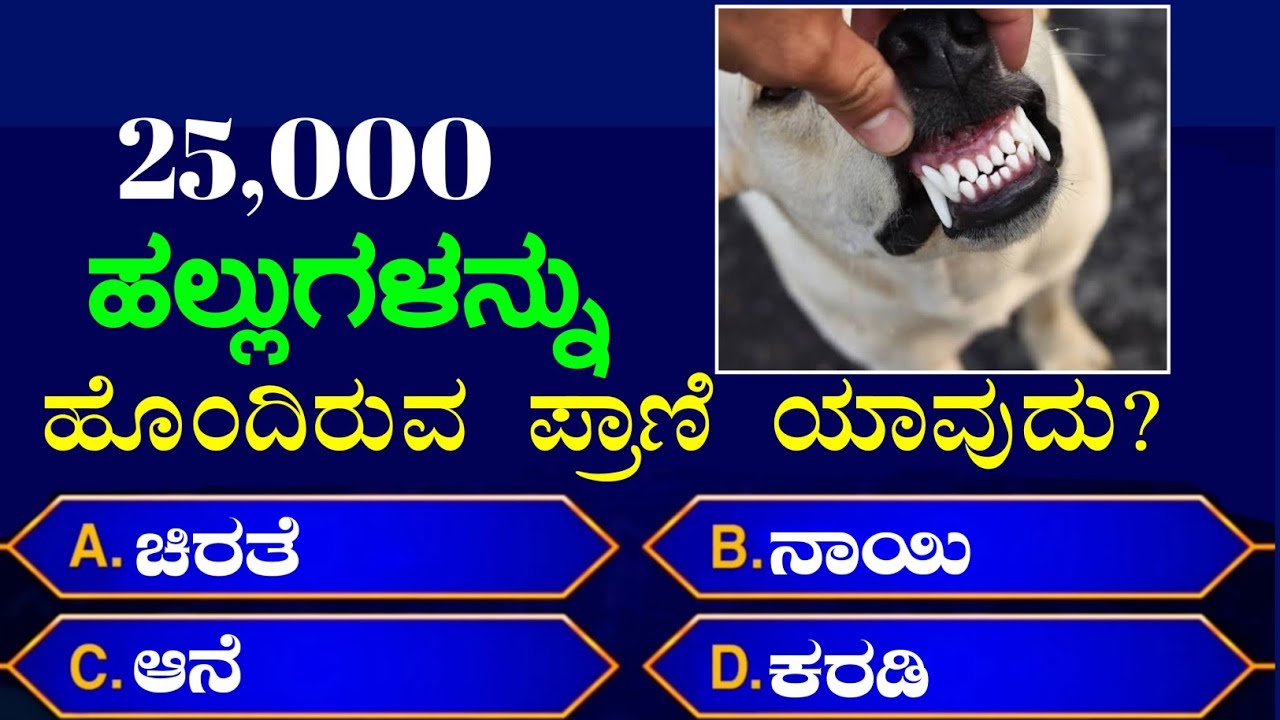 ಸಾಮಾನ್ಯ ಜ್ಞಾನ! general knowledge questions in Kannada! GK Kannada questions! GK!
