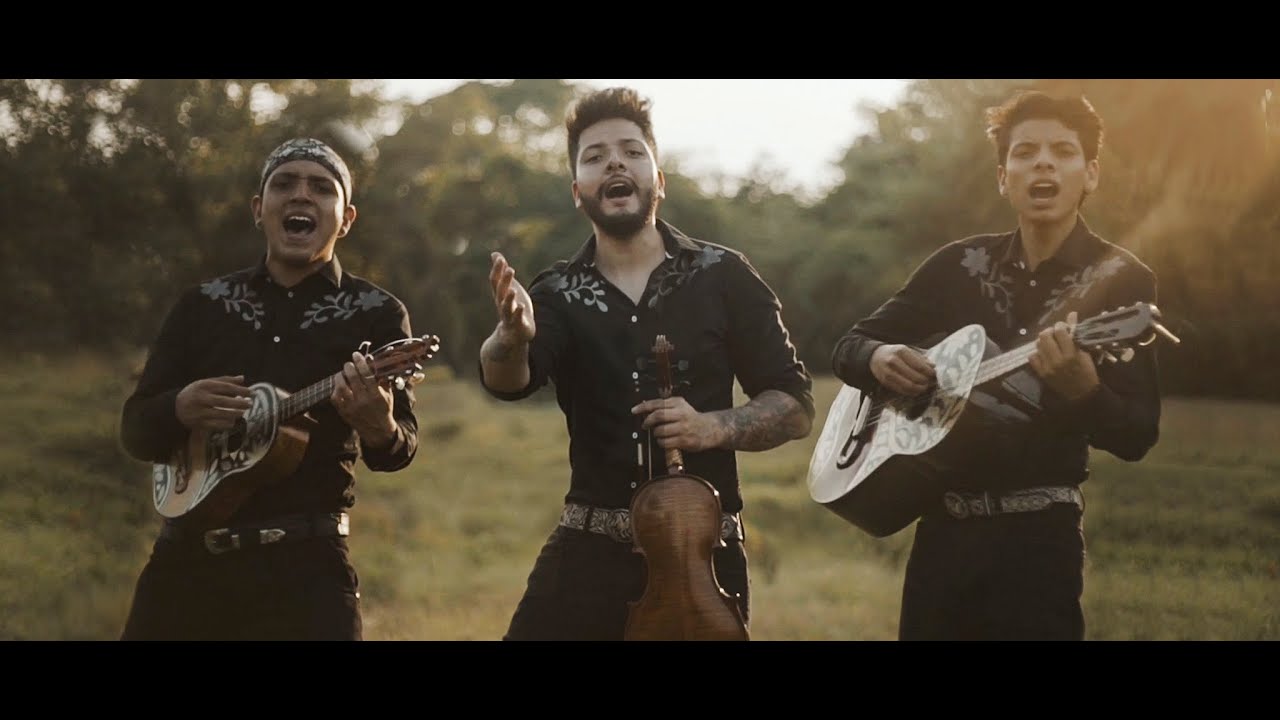 El Rey de la Huasteca | Trio Hermanos Sagahón (Video Oficial)