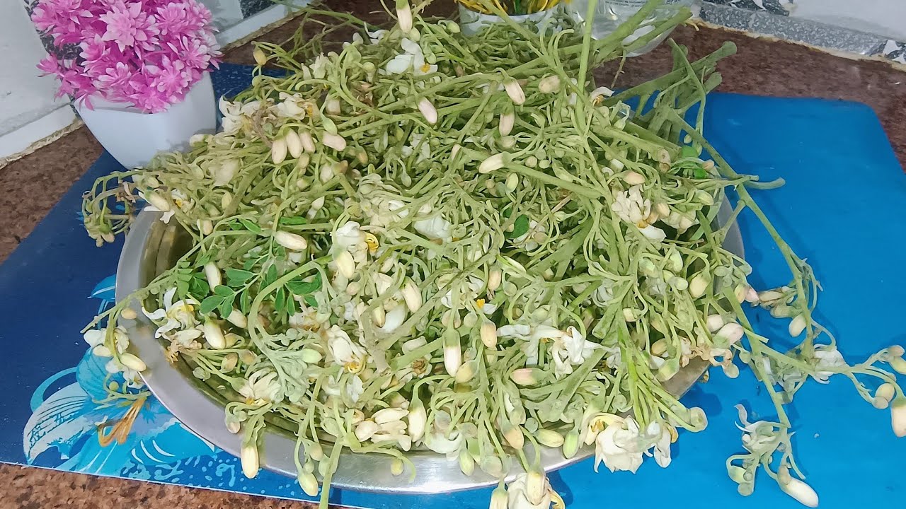 Moringa Phool Se banaen tasty Kurkure mangode l #mmsalamagic #moringa phool ke mangodi