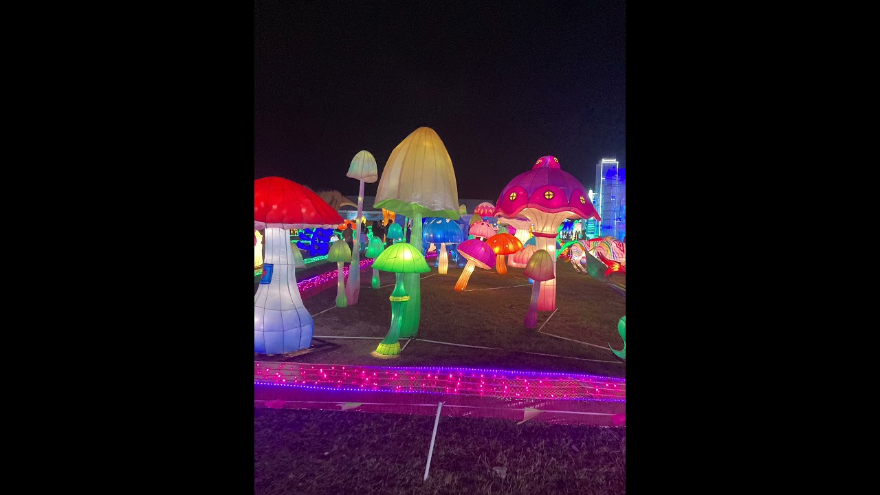 Vampire Love - yung bruh