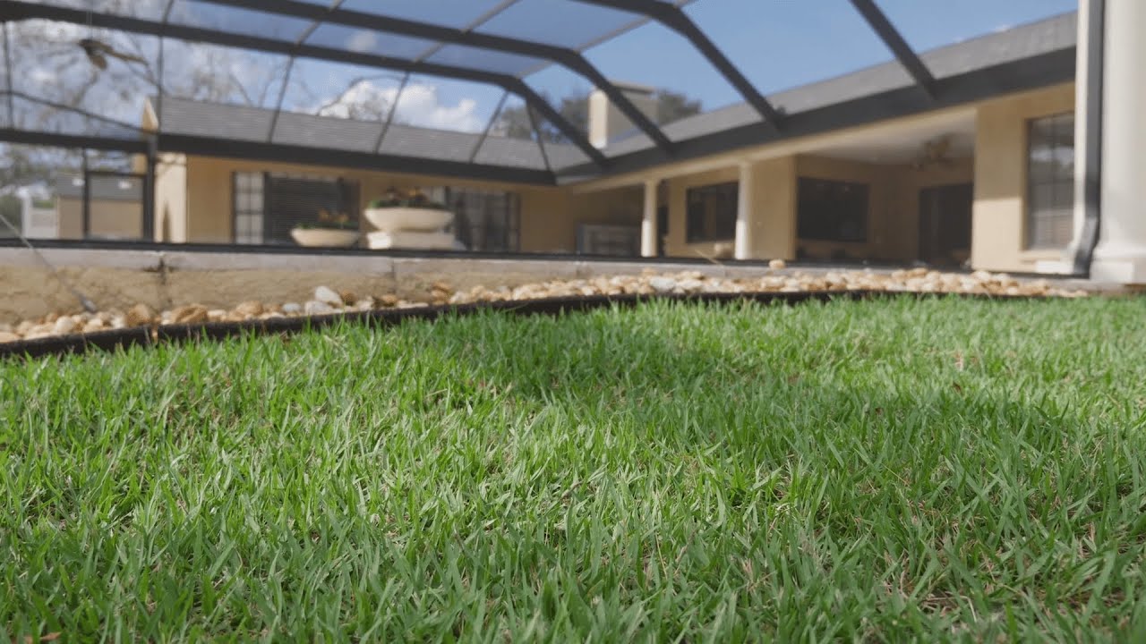 Empire Zoysia - The Grass for The South