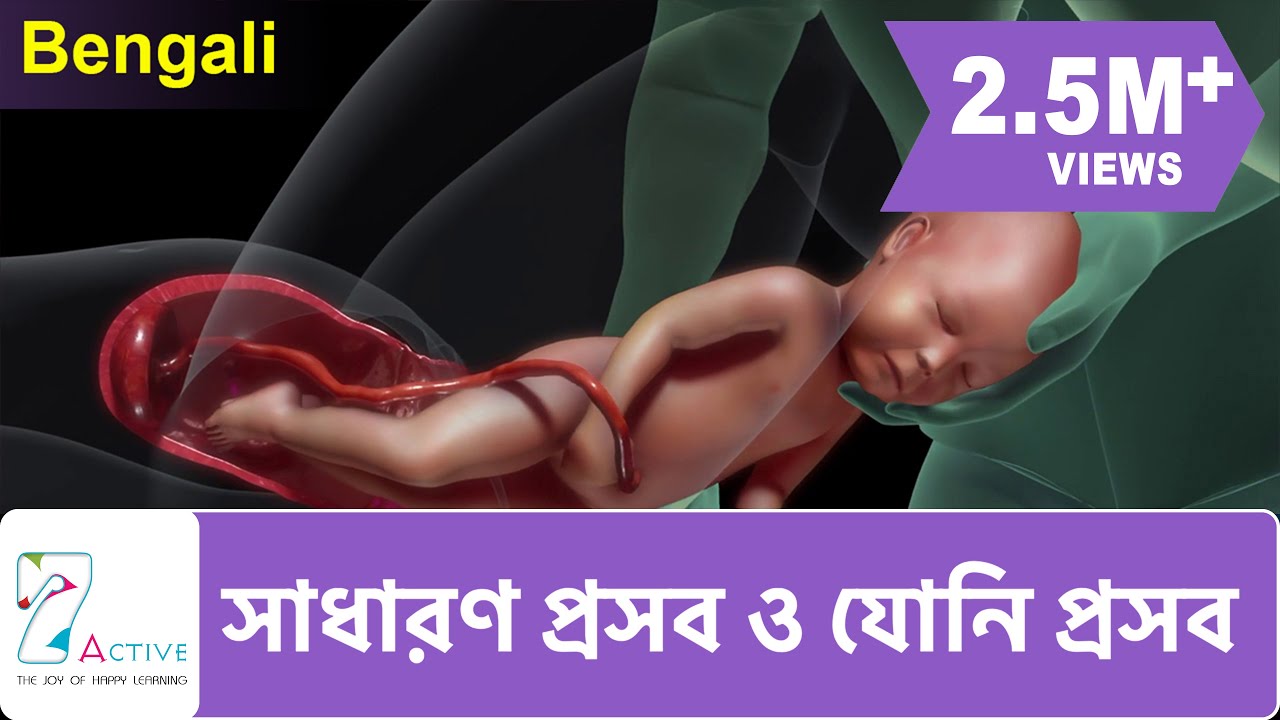 NORMAL LABOR & VAGINAL BIRTH | Bengali