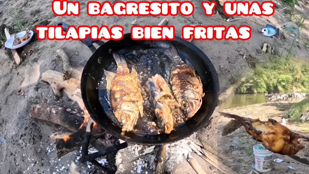 VAGRESITOS BIEN FRITOS CON UNAS TILAPIAS 🐟🦈🤤😋