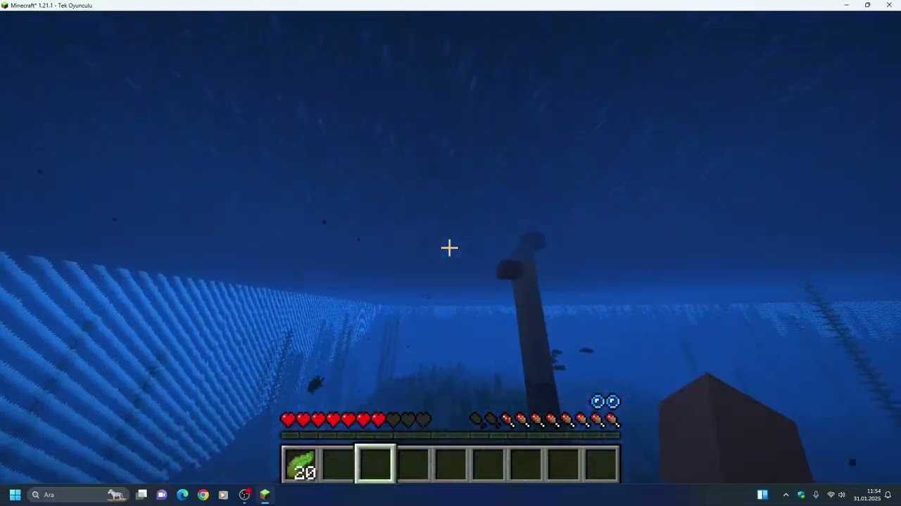 minecraft ama sınır gelişimi +301 blok sınır