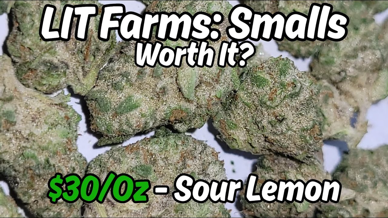 LIT Farms Smalls - Sour Lemon (Essential) THCa Flower Review & Nugshots - Affordable Popcorn Buds