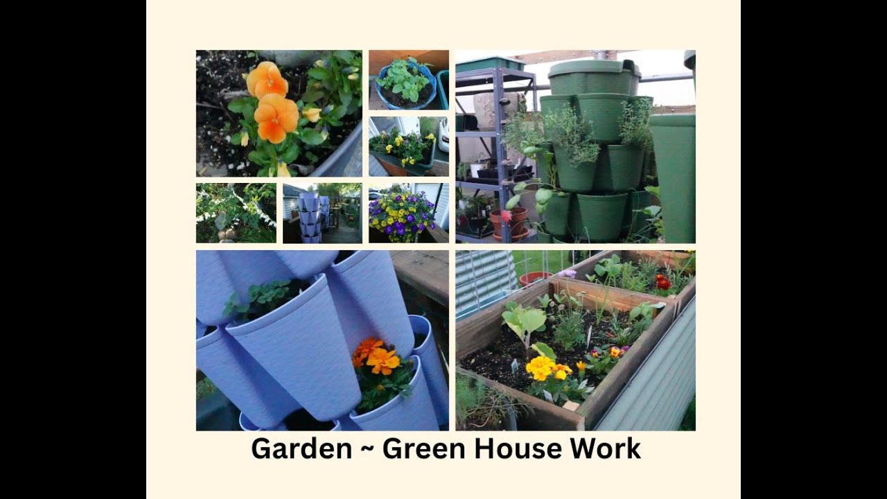Getting the Gardening & Green House Work done on a Small 1/4 acre lot Homestead #garden #greenstalk