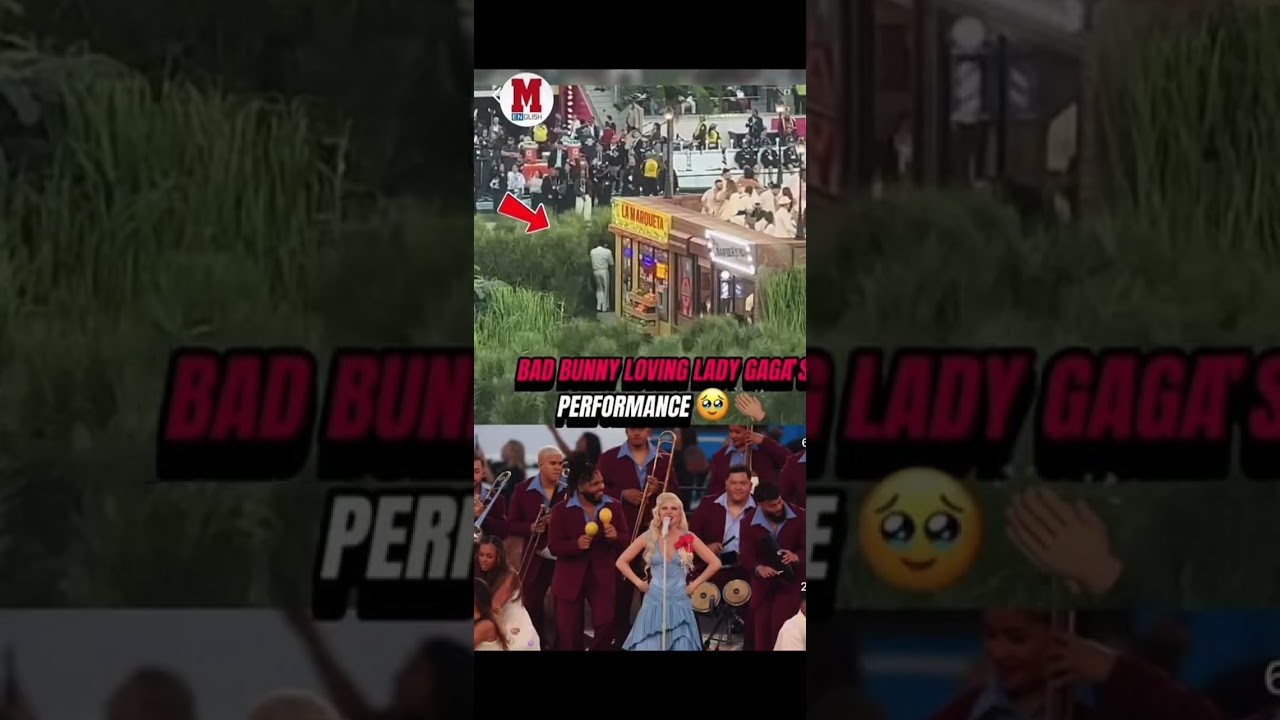 Bad bunny COMPILADO de Redes LO QUE NO SE VIO!! Y más, disfruten! El Super Bowl del conejo 