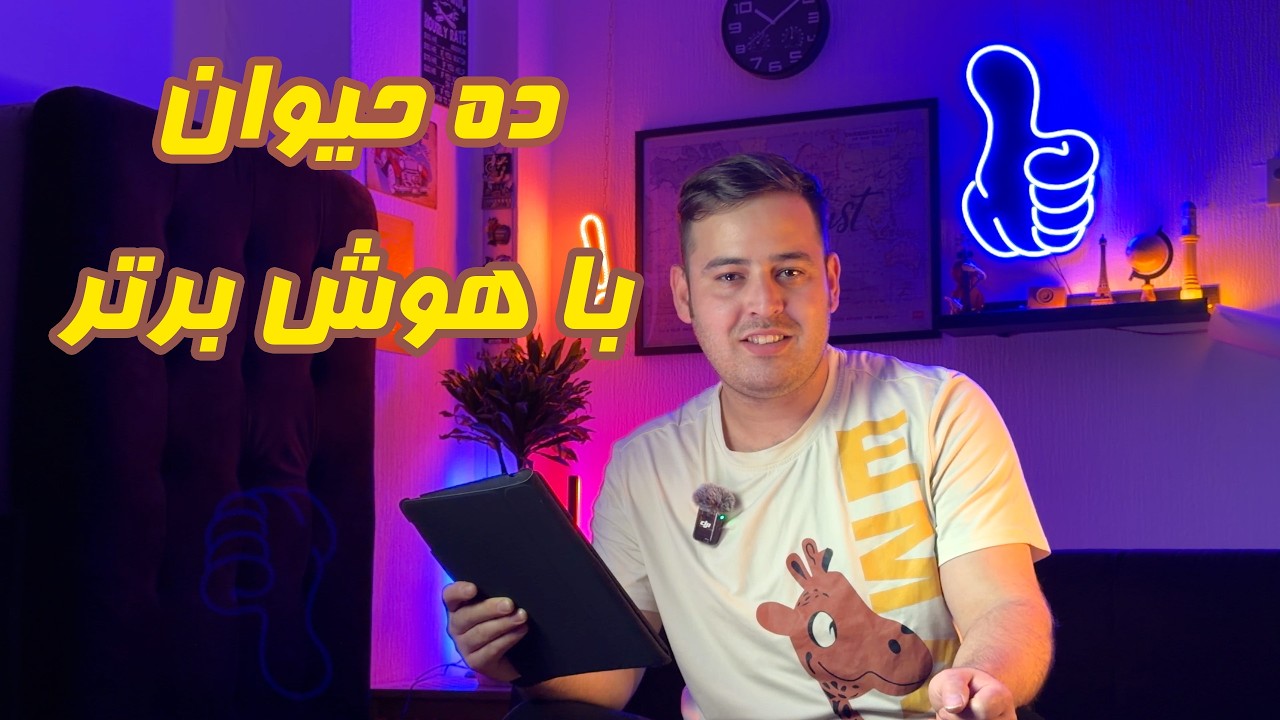 ۱۰ حیوان باهوش دنیا که مغزشون شبیه ما کار می‌کنه!