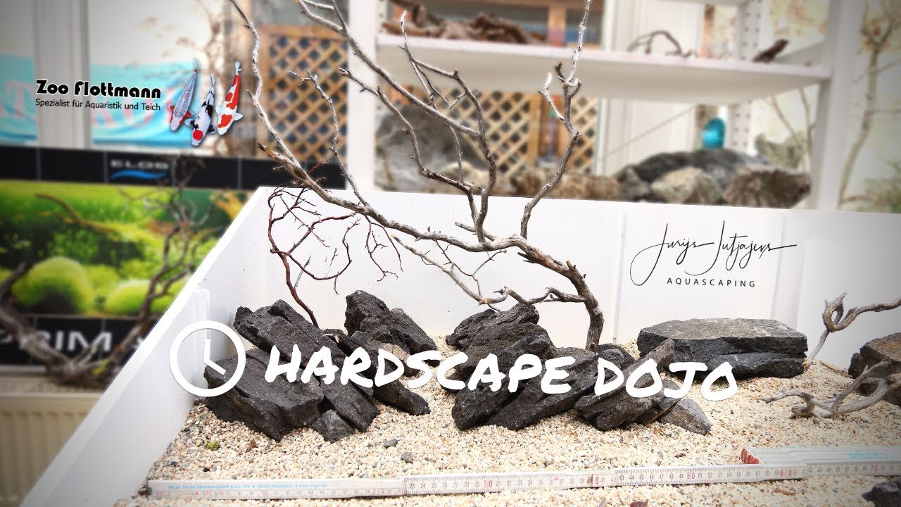 Improve your Aquascaping Skills with a Hardscape Dojo