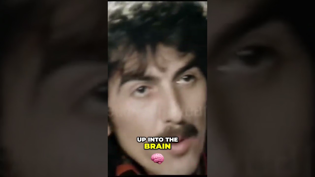 Unlocking the Mysteries of LSD A Mind Expanding Journey #interview #georgeharrison