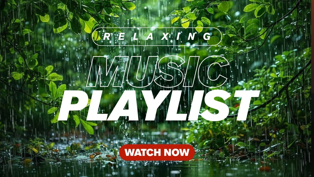 Rain Sounds for Deep Sleep 🌧️Relaxing Forest Rain Ambience for Sleeping & Studying