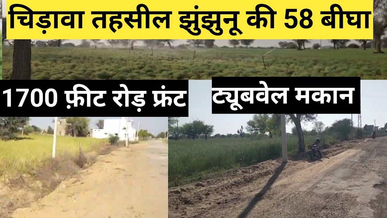 चिड़ावा तहसील झुंझुनू की 58 बीघा जमीन बिकाऊ 1700 फीट रोड फ्रंट ट्यूबवेल मकान मीठा पानी राजस्थान।