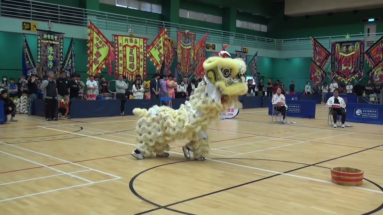 【全港公開龍獅藝錦標賽2025】 姜氏金龍醒獅團D 冠軍 Champion 20251221