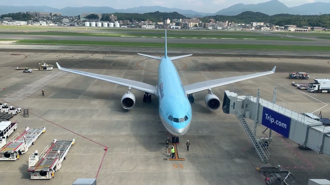 大韓航空791便エアバスA330-300は到着シーン