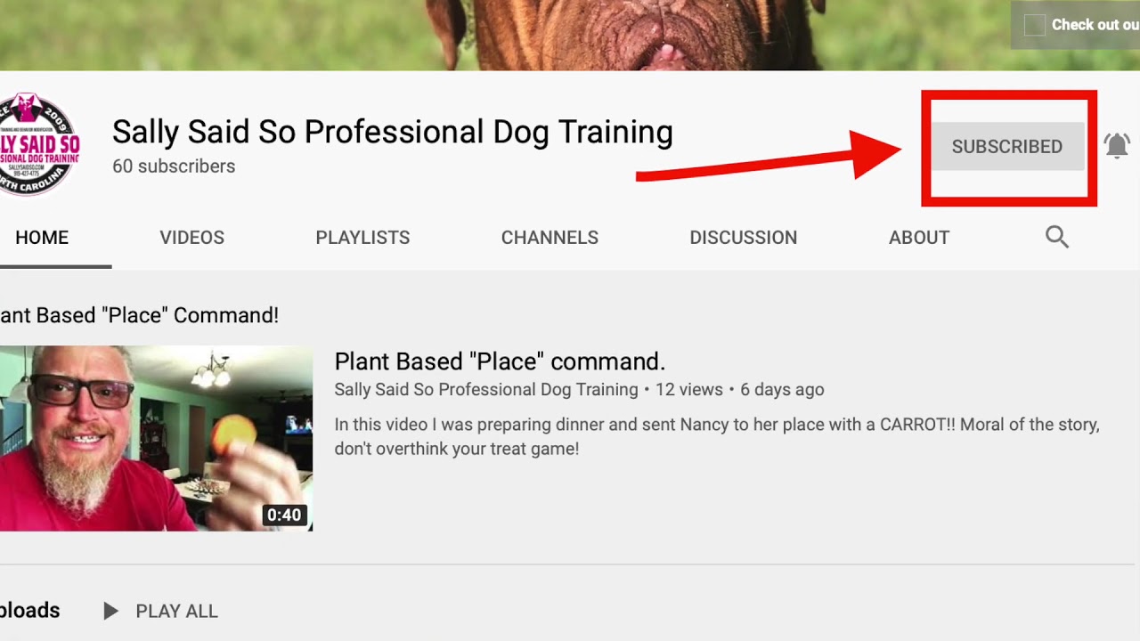 Subscribe today - Sally Said So Professional Dog Training