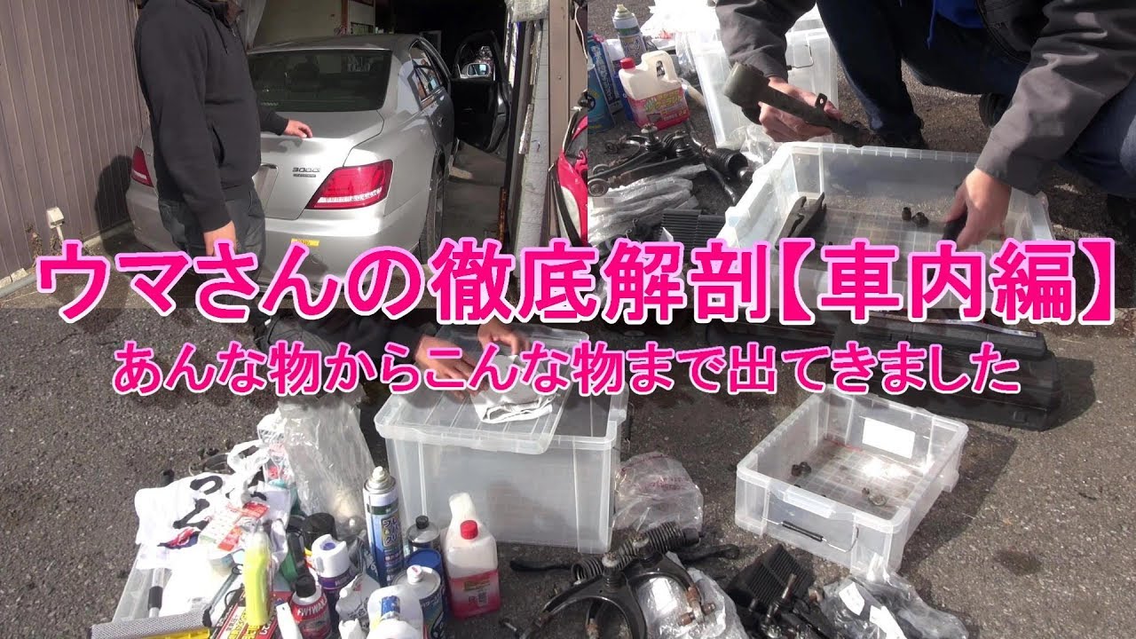 ウマさんっていったい何者なの⁉