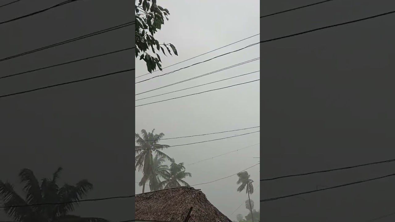 morning rain 🌧️💗#village #telugu #godavari #konaseema