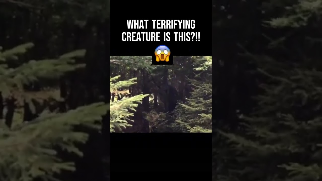 Strange Creature Spotted In The Trees Caught On Camera!! Slovakia Yeti #shorts #creature  #scary
