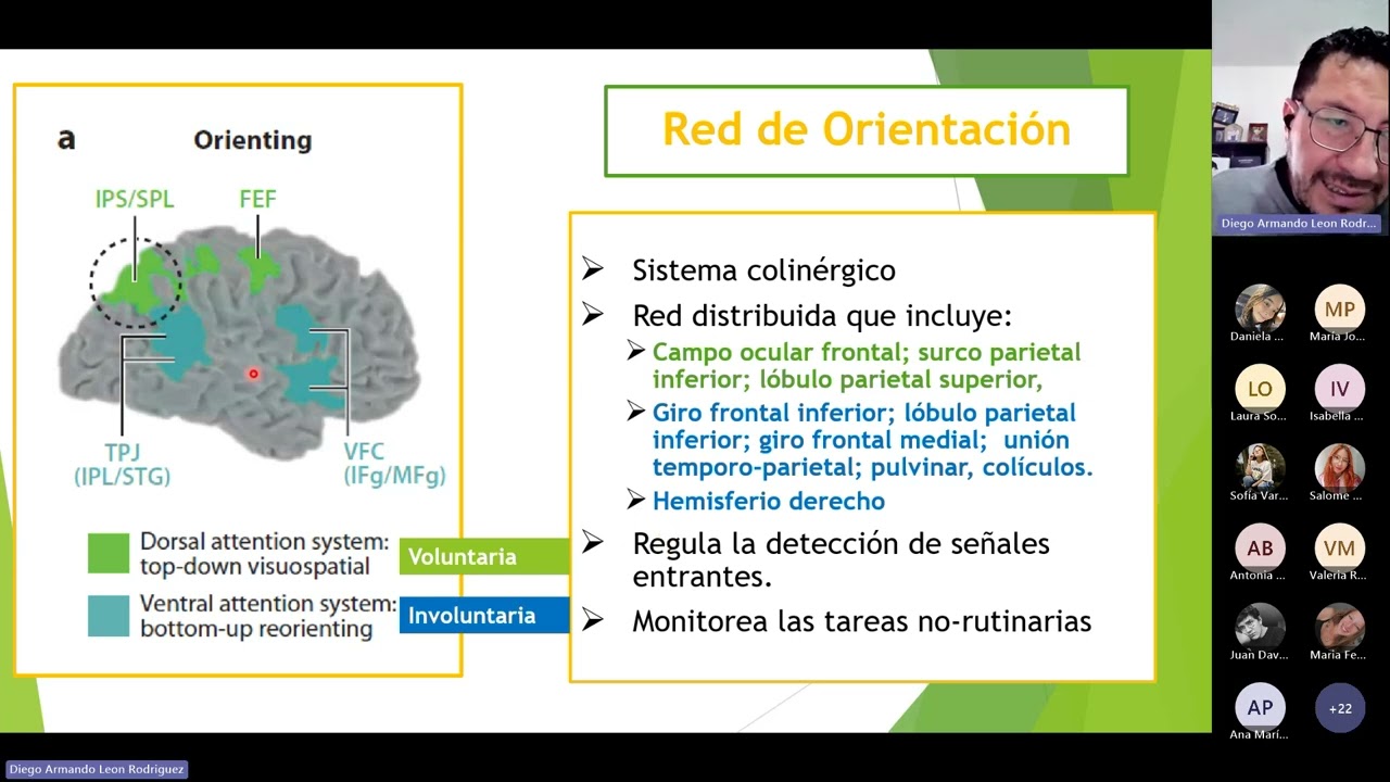 Redes Neurales Atencionales