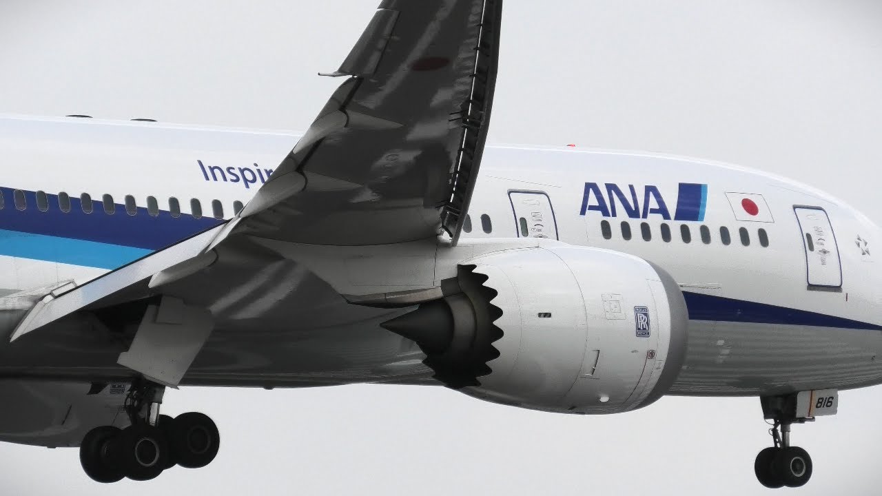 弓なりみたいにたわむ ANA 787-8 逆ラン サークリングアプローチ【 伊丹空港14R 逆ラン 猪名川土手～ 】