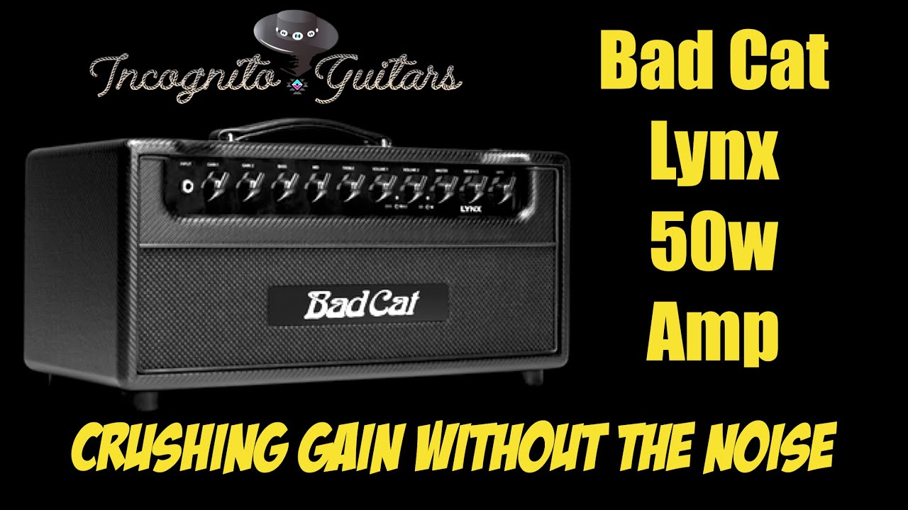 Bad Cat Lynx 50w Head - Demonstration and play-through