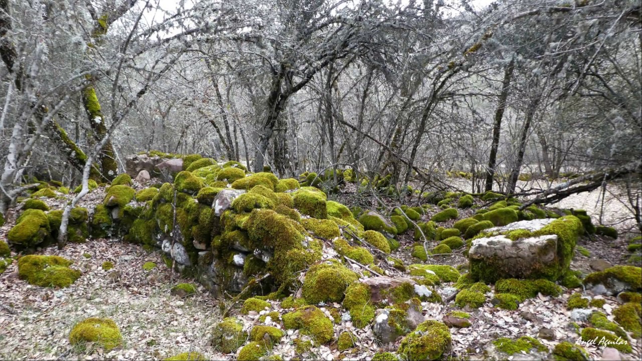 Los Casares antiguo castro Celta Valdemoro Sierra Cuenca