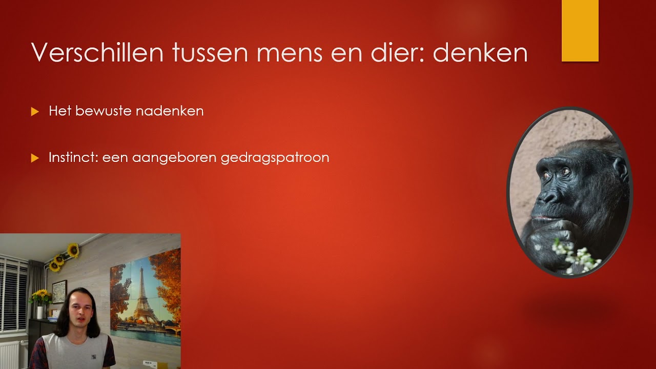 Abstract denken en zelfbewustzijn