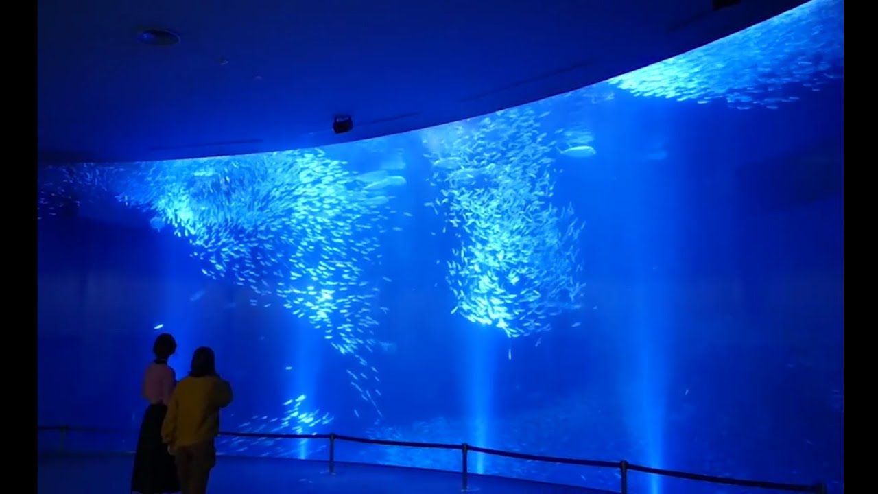758探訪～名古屋港水族館編4/5～【佳村はるか・本渡楓】