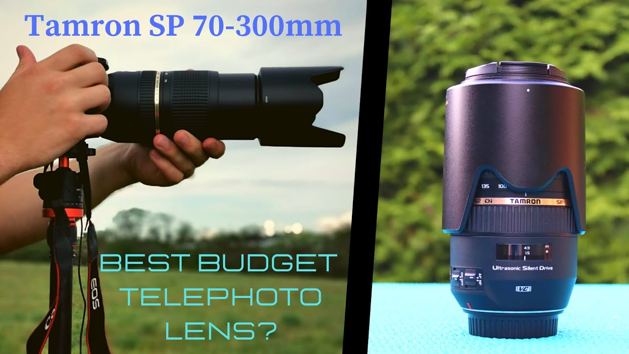 [Complete Review] Tamron SP 70-300mm F4-5.6 Di VC USD (+Samples & Opinion) Best Budget Telephoto?