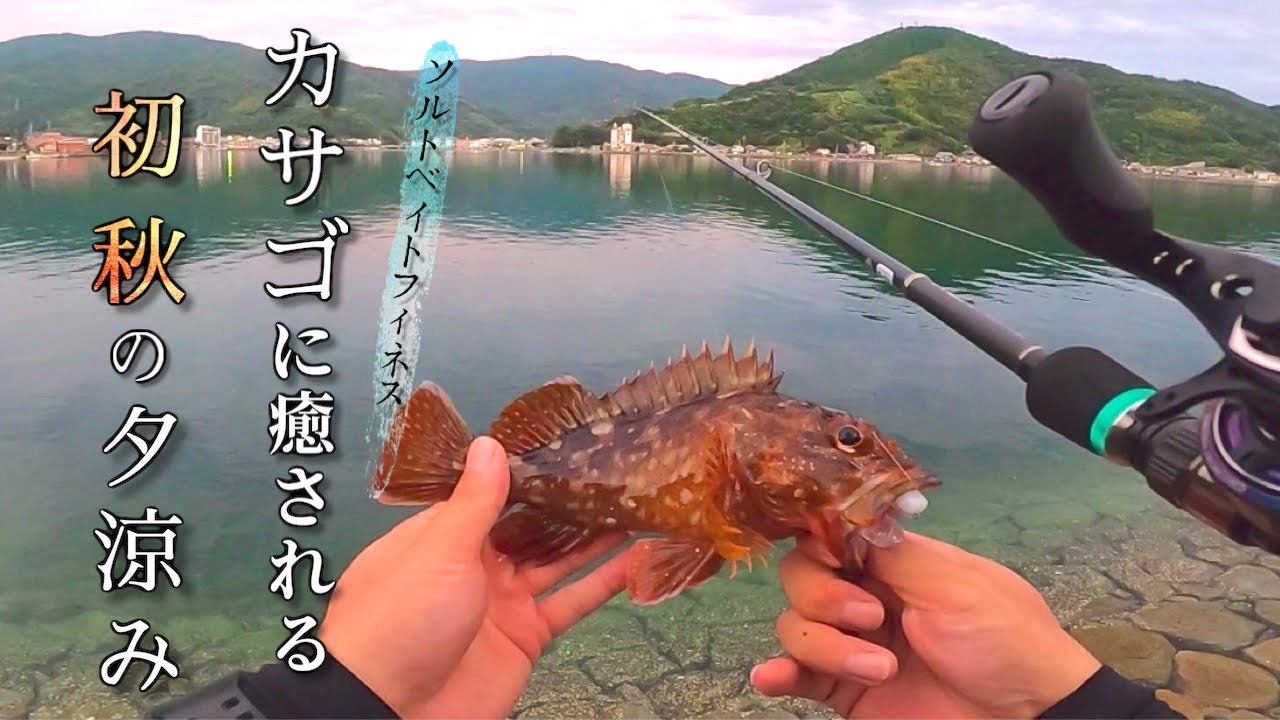 ロックフィッシュの原点、カサゴを釣る夕涼み【ソルトベイトフィネス】