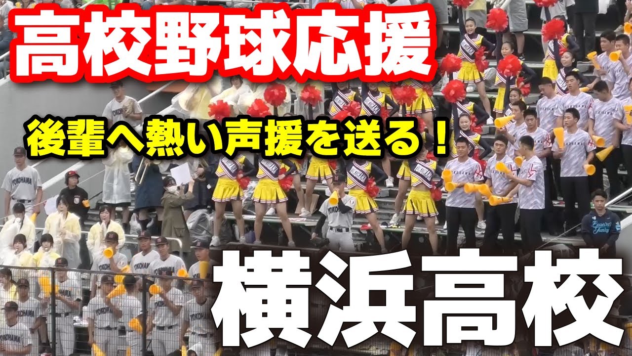 横浜高校応援　引退した3年生もスタンドで応援！後輩へ熱い声援を送る！秋季神奈川大会　準決勝　横浜vs平塚学園　2025.10.5 応援団　応援団　ブラバン　吹奏楽　野球応援